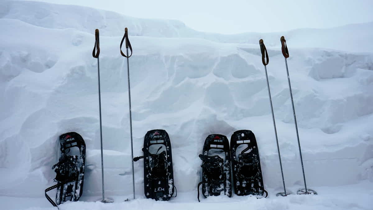 Ski poles and bags on a snowy floor