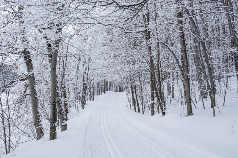 Canada cross country ski