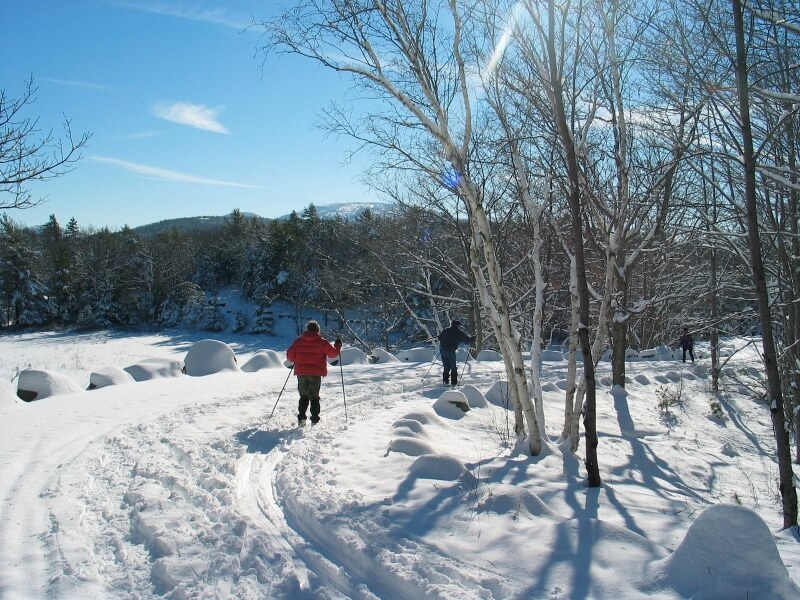 cross country skiing