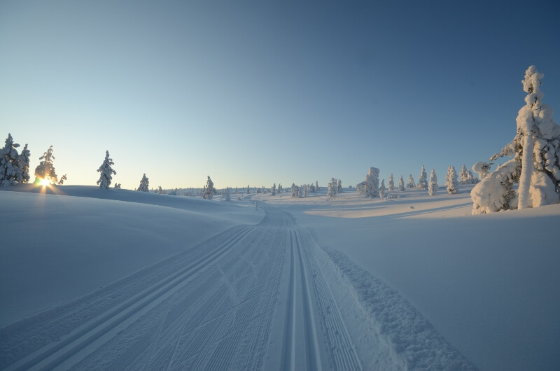 Finland cross country ski