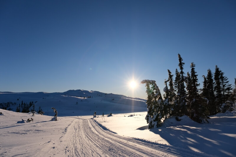 Norway cross country ski