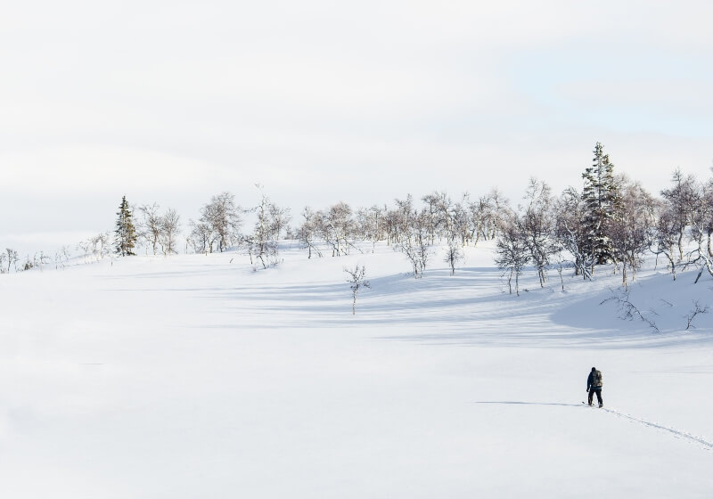 Sweden cross country skiing